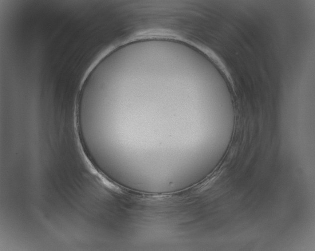 X0000073951390200608210931