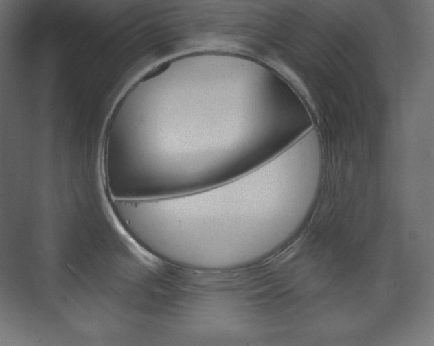 X0000073951391200608210931
