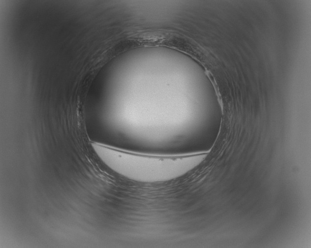 X0000073951394200608210930