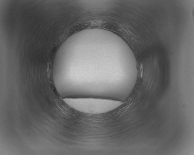 X0000073951395200608210930
