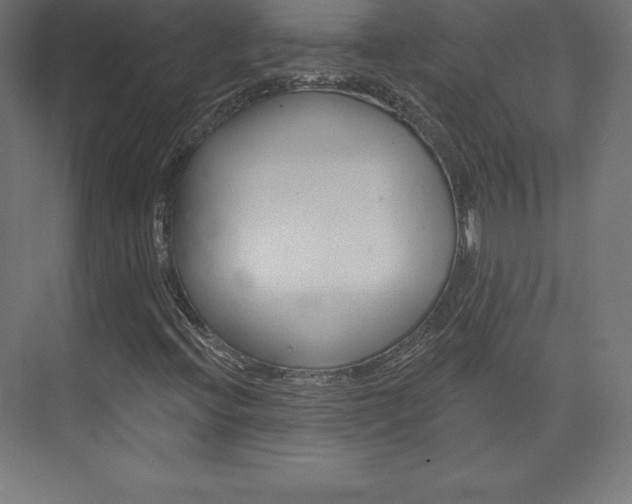 X0000073951396200608210930