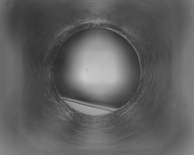 X0000073951398200608210930