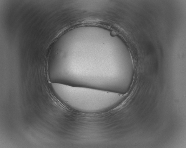 X0000073951401200608210930
