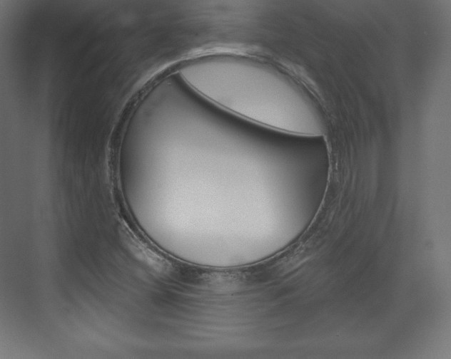 X0000073951404200608210930