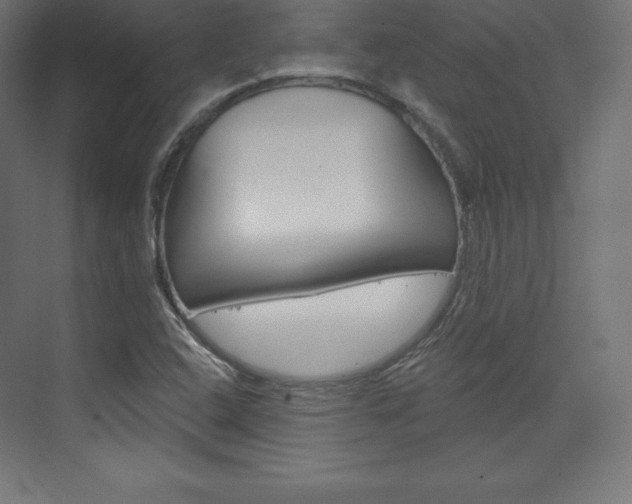 X0000073951408200608210930
