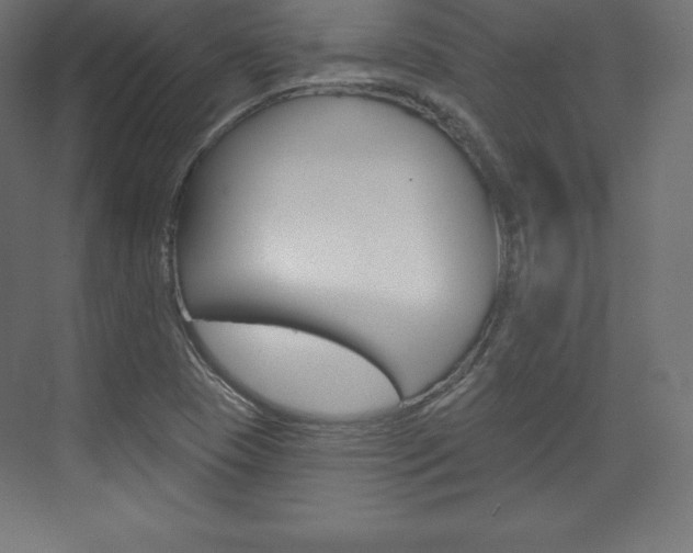 X0000073951409200608210930