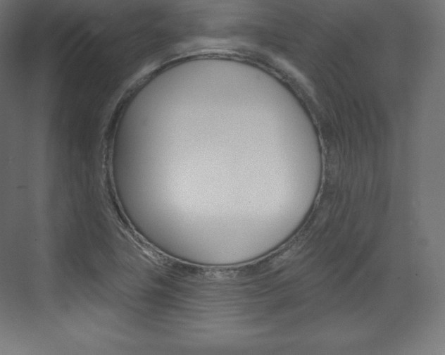 X0000073951411200608210930