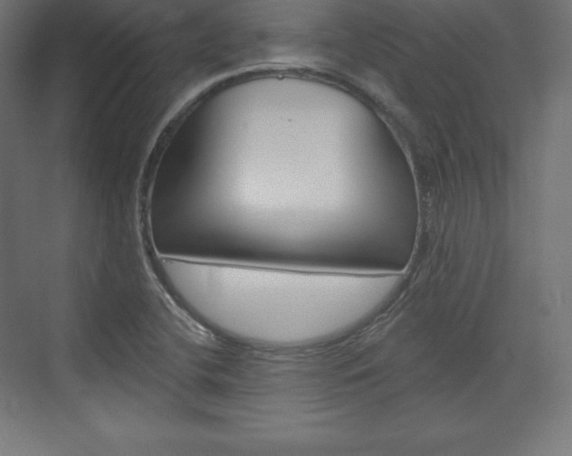 X0000073951412200608210930