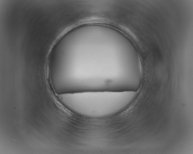 X0000073951413200608210930