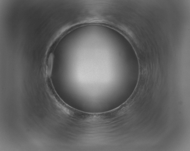 X0000073951414200608210930