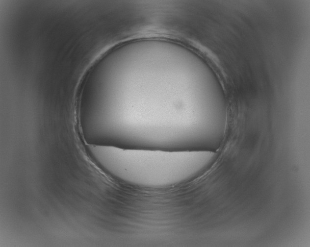 X0000073951415200608210930