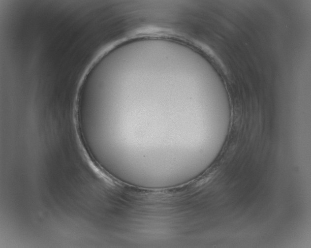 X0000073951421200608210930