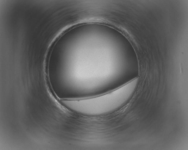 X0000073951422200608210930