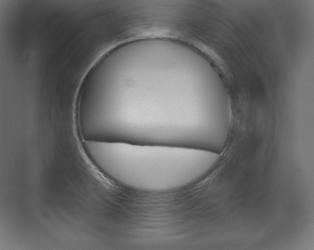 X0000073951423200608210931