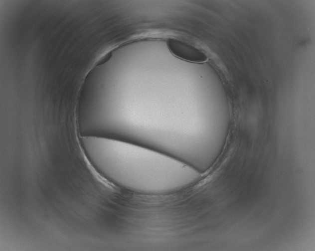 X0000073951425200608210931