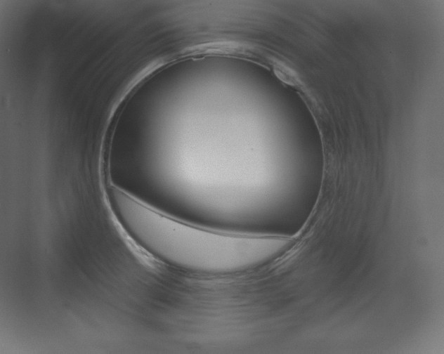X0000073951426200608210931