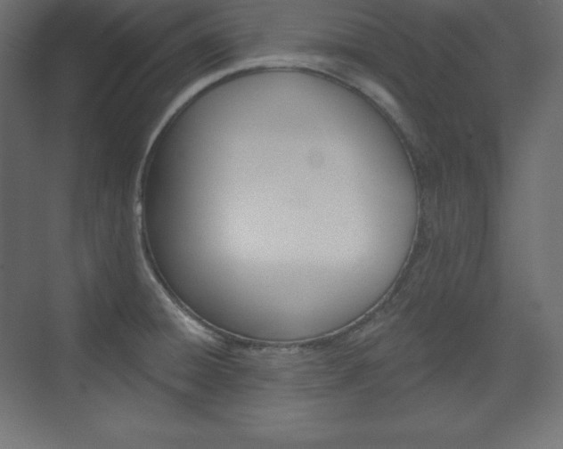 X0000073951428200608210931