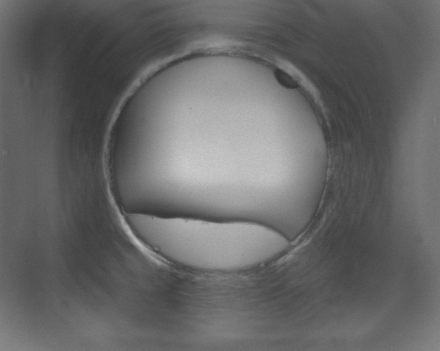 X0000073951429200608210931