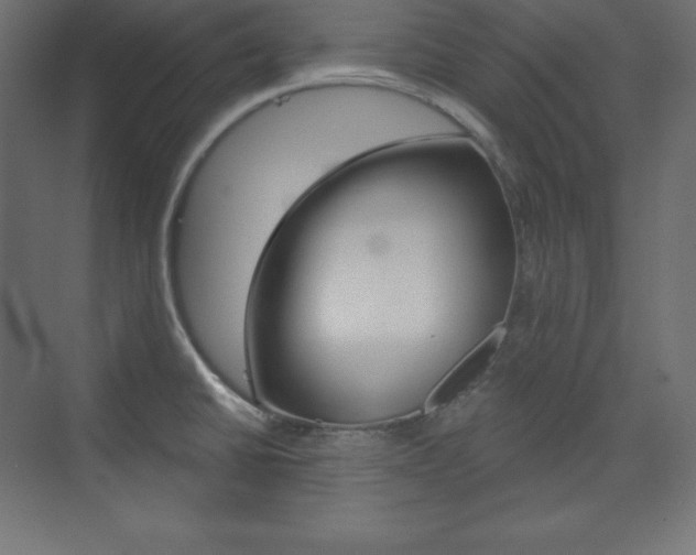X0000073951430200608210931
