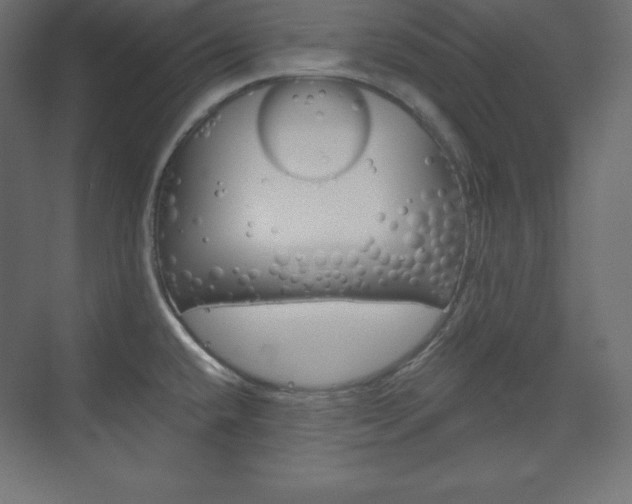 X0000073951432200608210931