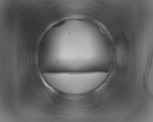 X0000073951433200608210931