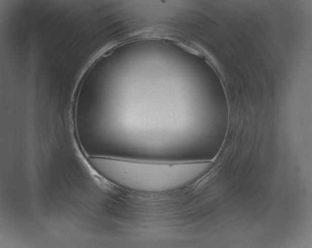 X0000073951434200608210931