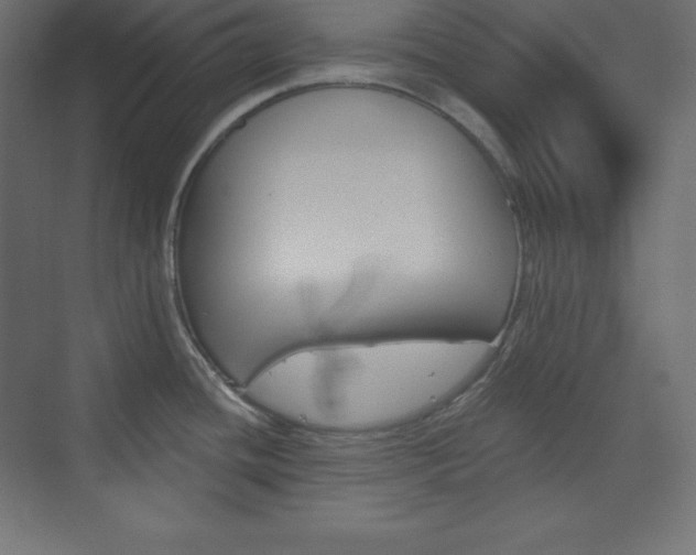 X0000073951436200608210931
