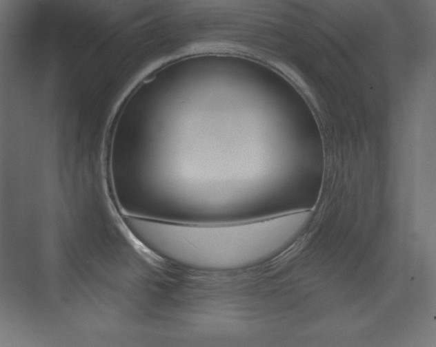 X0000073951438200608210931