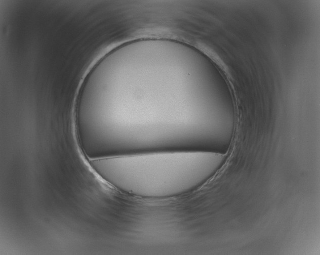 X0000073951440200608210931