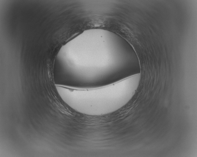 X0000073951442200608210930