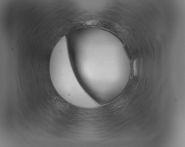 X0000073951443200608210930