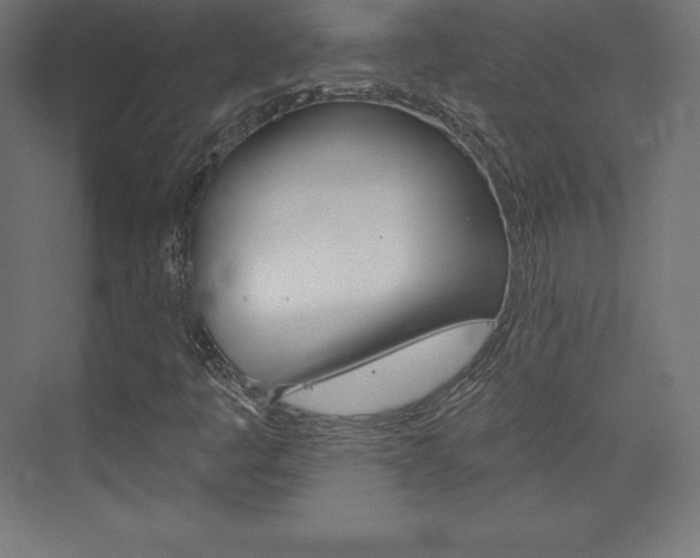 X0000073951445200608210930