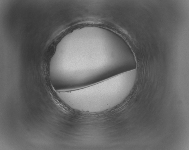 X0000073951448200608210930