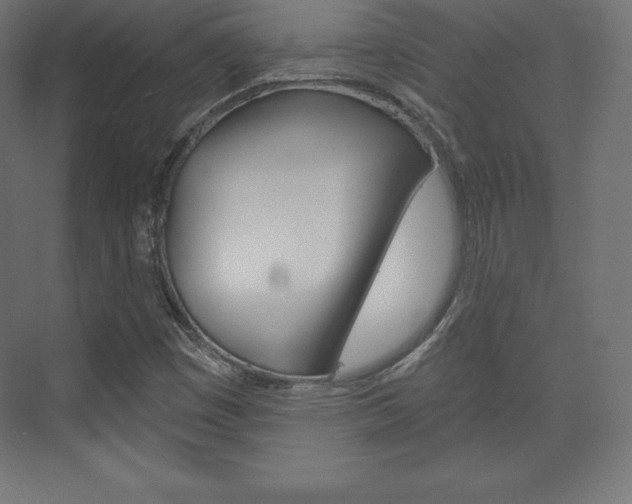 X0000073951449200608210930