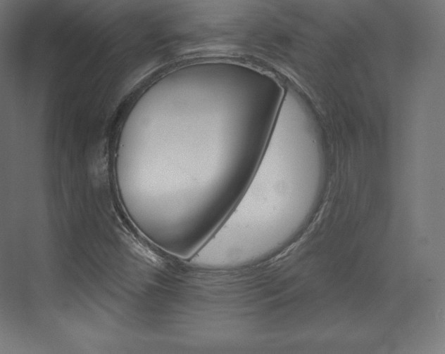 X0000073951450200608210930