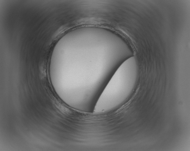 X0000073951451200608210930