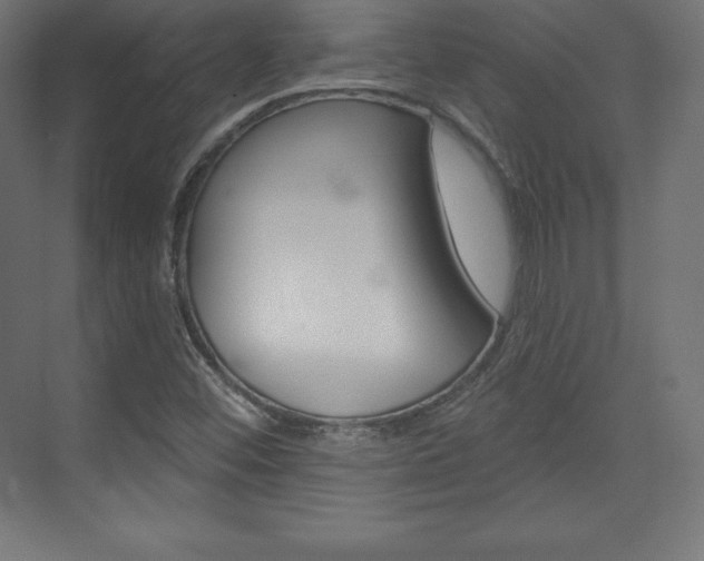 X0000073951452200608210930