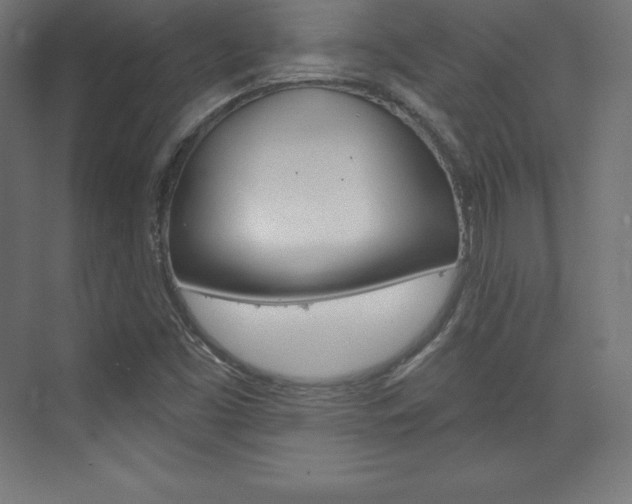 X0000073951453200608210930