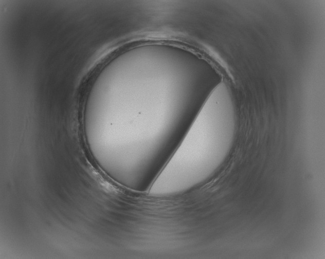 X0000073951456200608210930