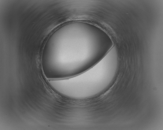 X0000073951457200608210930