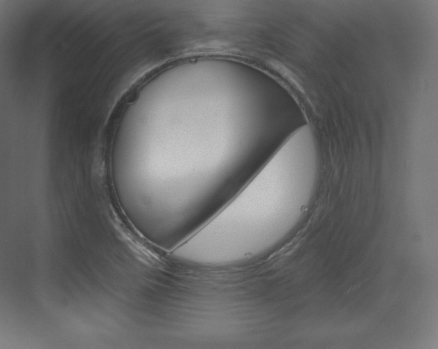 X0000073951458200608210930