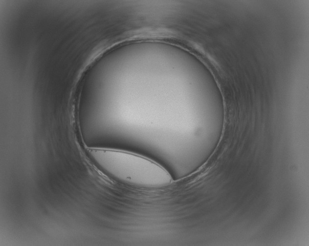 X0000073951459200608210930