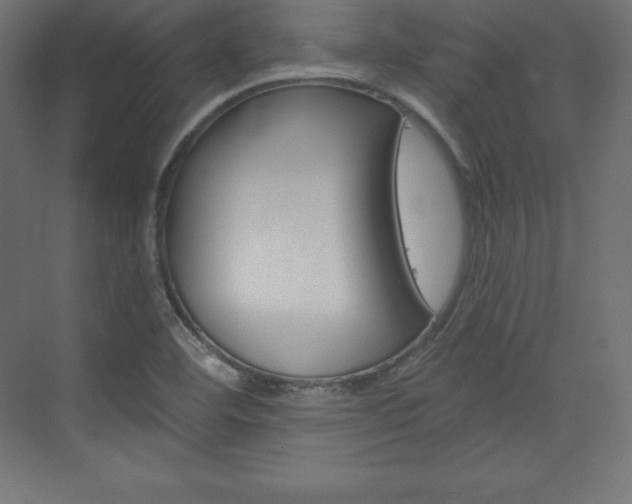 X0000073951460200608210930