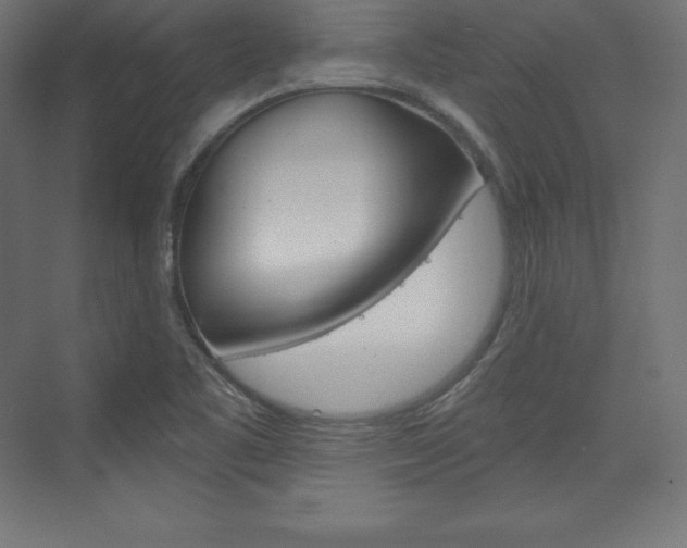 X0000073951461200608210930