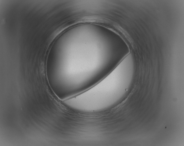 X0000073951465200608210930