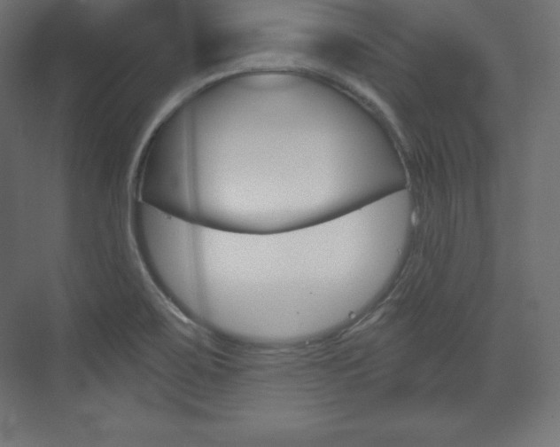 X0000073951467200608210930