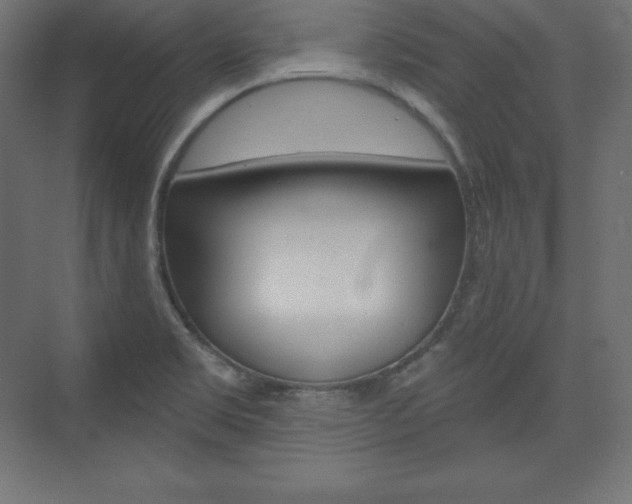 X0000073951469200608210930