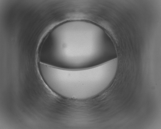 X0000073951472200608210929