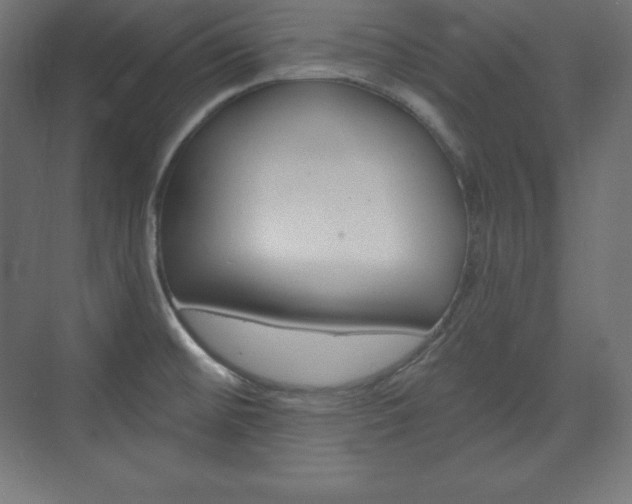 X0000073951476200608210929