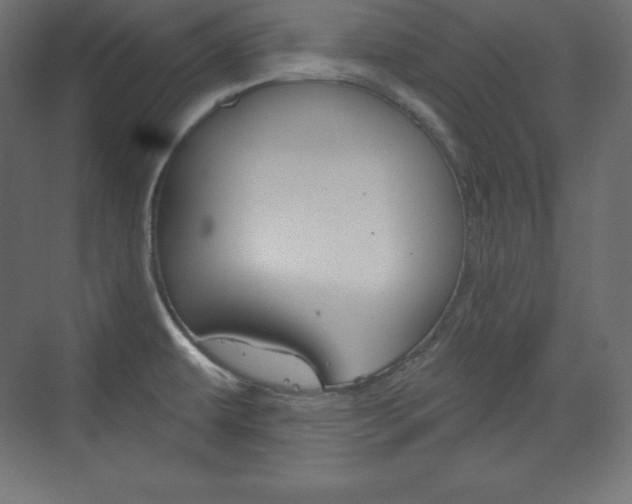 X0000073951479200608210929